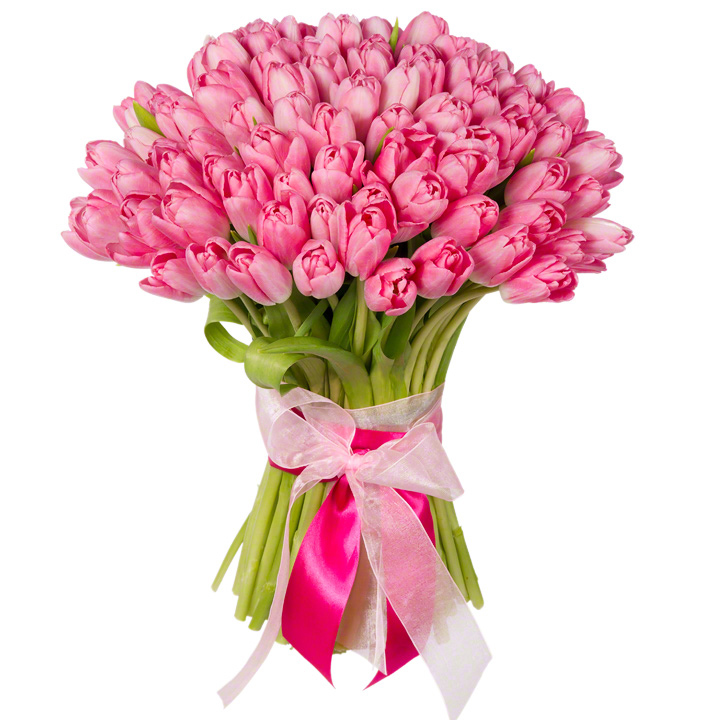 100 tulipánů