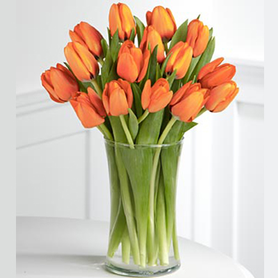 Oranžové tulipány