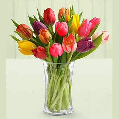 Tulipány mix